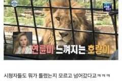 자막으로 개명시켜버린 나혼자산다