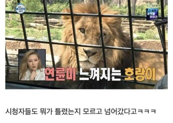 자막으로 개명시켜버린 나혼자산다