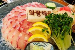 신선한 바다의 식감을 가장 직관적으로 즐길 수 있는 회 맛집 5곳
