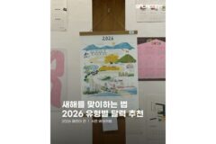 [카드뉴스] “새해 맞이 시작해볼까”… 2026 유형별 달력 추천