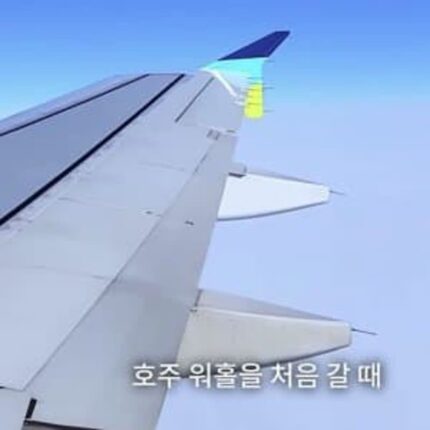 한국여자가 호주 워홀가서 얻은 것과 잃은 것들