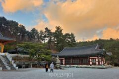 겨울방학엔 사찰서 이색 체험해볼까…전국 52곳서 ‘겨울 특별 템플스테이’ 진행
