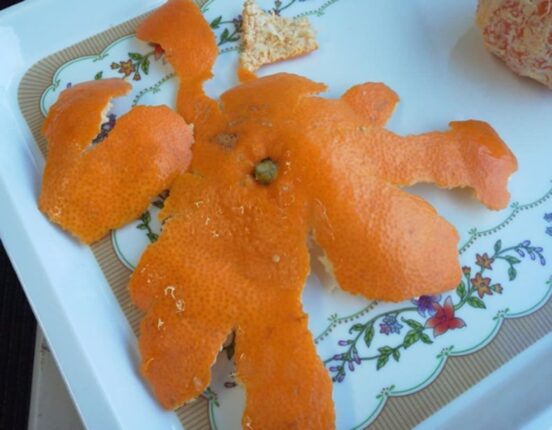 먹고남은 귤껍질에 “소주”를 부으세요, 청소업체 대표도 놀란 방법입니다.