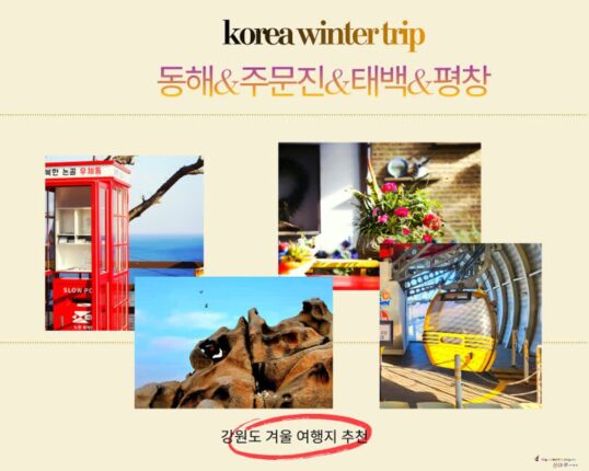 강원도 겨울 여행지 추천 베스트 4, 동해 주문진 태백 평창 봉평