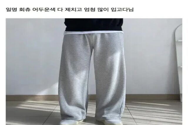 유독 한국에서 엄청 좋아하는 츄리닝.jpg