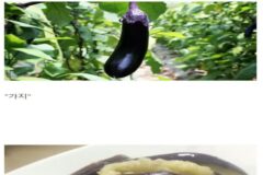 한국에서 유독 저평가되는 식재료
