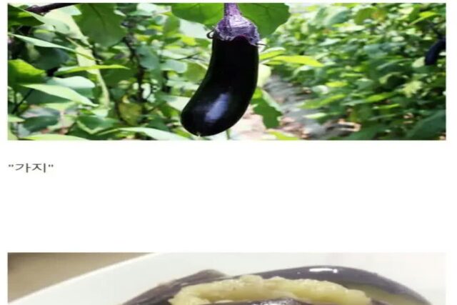 한국에서 유독 저평가되는 식재료