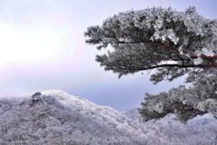 설경에 반하다!….경북 상고대 명산 베스트 4