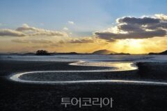 순천 겨울 여행 스폿 5선…갈대와 옛 마을 따라 걷다