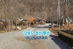 정선 펜션 숙소 정선애 하이원스키장 강원도펜션 추천