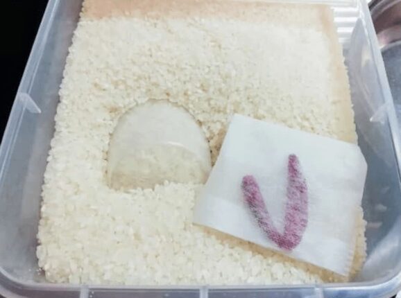 쌀통에다 “이것”을 넣어보세요, 과거 조상님들도 쓰던 꿀팁 입니다.