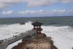 겨울 바다 품은 속초시 다채로운 여행 풍경
