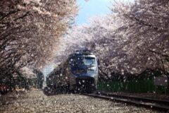 2026 KTX 설 예매, 올해 달라진 점 확인 안 하면 ‘끝’
