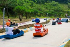 강화 루지, 이거 안 타면 손해? 폐장 위기 섬마을을 살린 ‘1.8km 기적’의 비밀