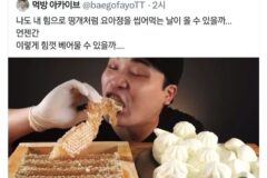 요아정도 기묘하게 먹는 유튜버 떵개.twt
