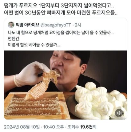 요아정도 기묘하게 먹는 유튜버 떵개.twt