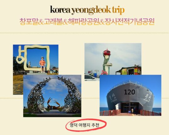 영덕 가볼만한 곳 베스트 5 해파랑공원 고래불해수욕장 창포말등대 장사상륙작전전승기념공원 벌영리 메타쉐콰이어 숲