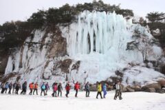 눈부신 설경 속을 걷다! … 한국 눈꽃·얼음 트레킹 명소 8