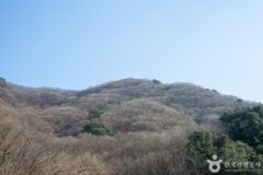 남양주의 겨울, 자연의 품에서 만나는 평온한 이야기