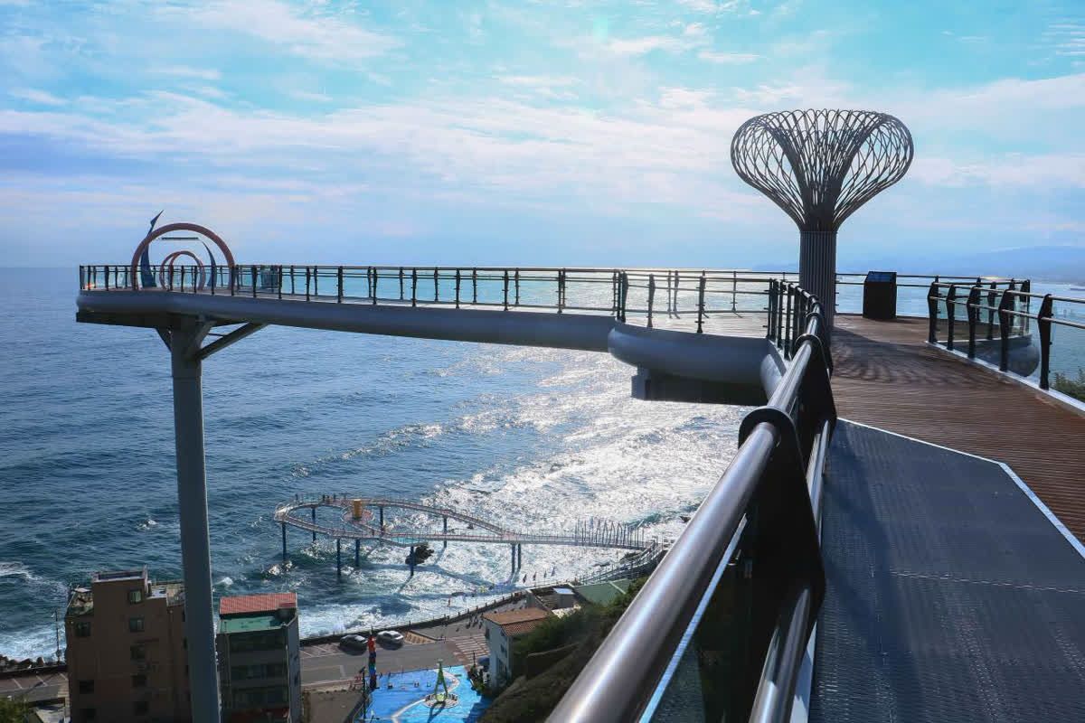 80억 들여 조성한 35m 높이의 전망대가 3,000원이래요” 보고도 못믿는 동해 여행지 추천 | 인포매틱스뷰