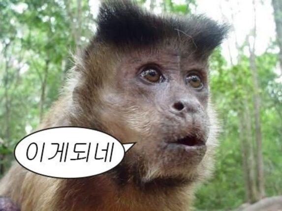사람의 거짓말을 식물이 감지할 수 있을까? (feat. 드라마 아이돌아이)