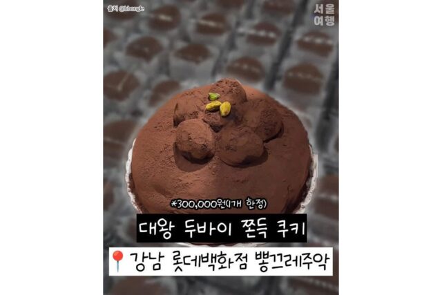 온 세상이 두쫀쿠 모음