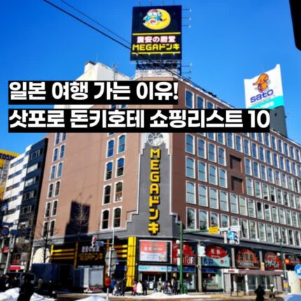 삿포로돈키호테추천템 쇼핑리스트 10 할인쿠폰까지