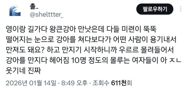 산책 중에 10명의 사람이 우르르 몰려들어서 강아지 만짐.twt