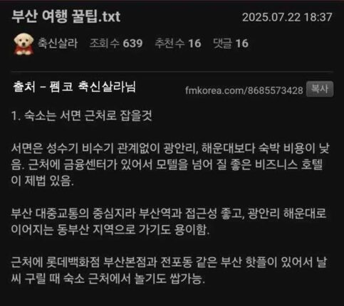 부산 여행 꿀팁