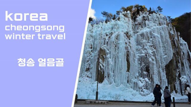 청송 겨울 여행 가볼만한 곳 청송 얼음골 축제 62m 빙벽 핫플