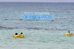 겨울 해외여행 태국 휴양지 추천  파타야 코란 섬 누알비치