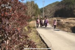 할머니들은 겨울이 오면 합숙을 시작한다👵🏻🏡