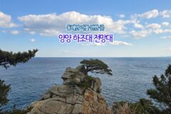 동해안 가볼 만한 곳 양양 하조대 전망대 주차