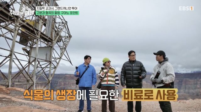 생각보다 이로운 박쥐 똥.jpg