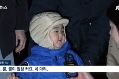 사슴 떼가 출몰했던 순천 근황