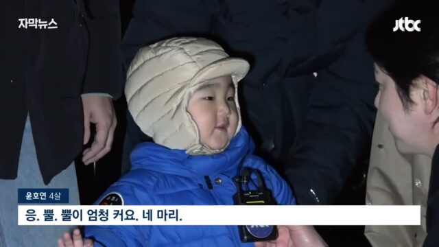 사슴 떼가 출몰했던 순천 근황