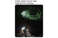 아무래도 옛날에는 기안84 같은 사람이 세상을 발전시킨거 같아