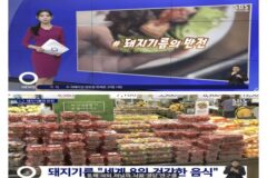 돼지기름에 대한 반전 연구결과