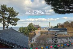 오션뷰 강원도 절 양양 휴휴암 동해바다 방생