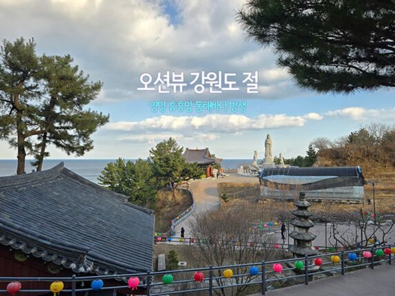 오션뷰 강원도 절 양양 휴휴암 동해바다 방생