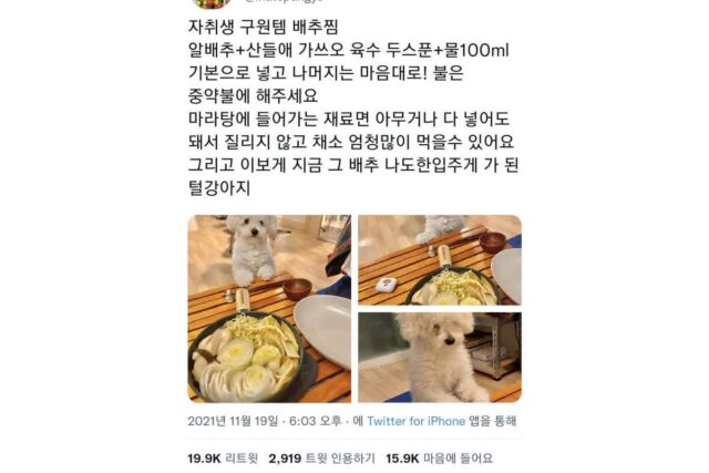 요즘 트위터에서 유행 중인 배추찜 레시피.jpg