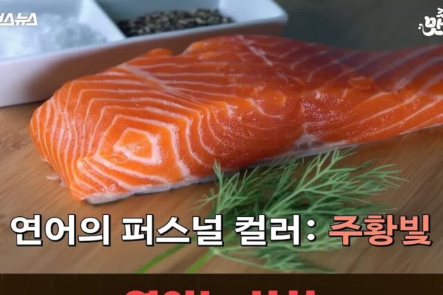 연어의 살이 붉은 이유.jpg