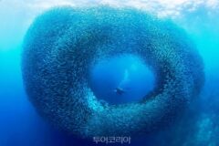 “겨울에 왜 세부야?”…도시도, 휴양도 놓치기 싫다면, 지금 주목해야 할 곳