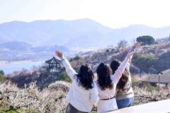 “3월 한정 100만 명 찾는 데 99만 명이 만족한대요” 하얀 꽃비 내리는 무료나 다름없는 여행지