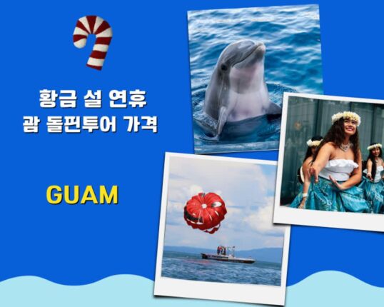 괌 돌핀투어 추천 가격 준비물 예약 포함 슈퍼세일 특가