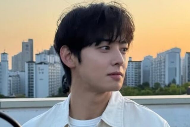 ‘탈세 의혹’ 차은우, 흔적도 없이 사라졌다…
