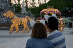 2026년 주말 나들이 1순위 용인 유명한 곳 베스트 4