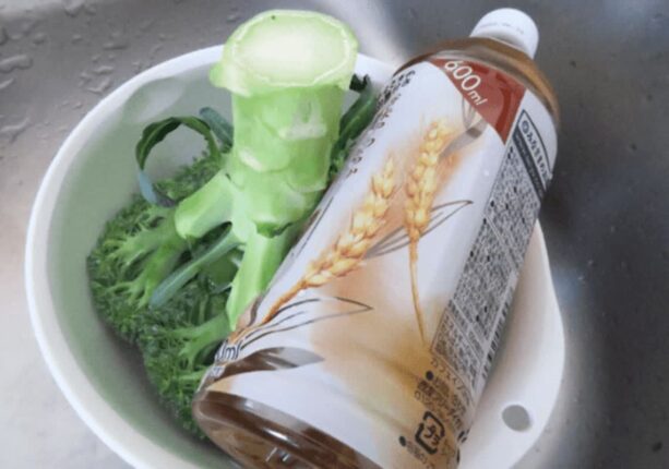 앞으로 브로콜리는 “이렇게” 씻으세요 주부9단이 공개한 세척방법 입니다.