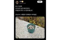 회사 옥상에 화분을 두면 생기는 일
