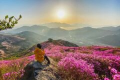 2026 봄꽃 산행 1위…영취산 진달래 트레일레이스부터 등산코스 정보까지